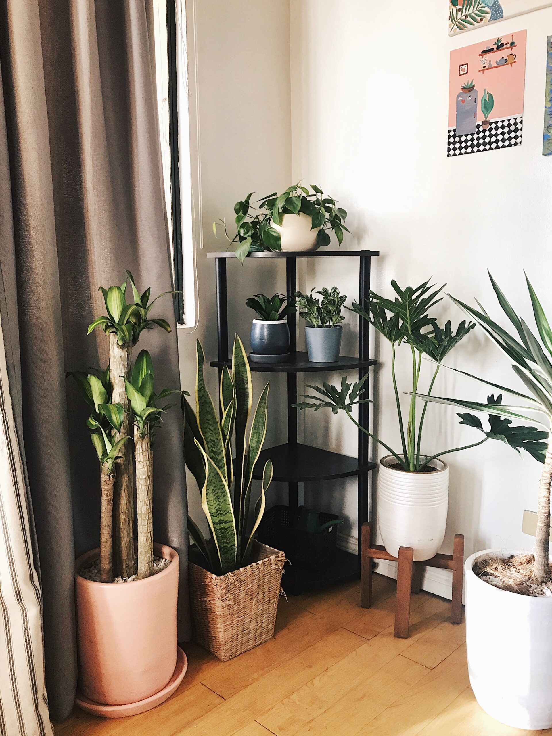 Menciptakan Rumah yang Rapi Tanpa Terasa Kaku